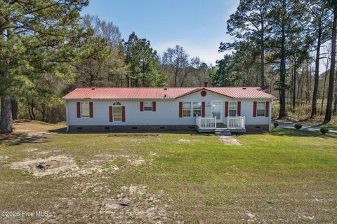Tiny photo for 171 Big Four Road, Currie, NC 28435 (MLS # 100562069)