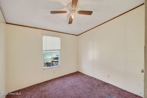 Tiny photo for 171 Big Four Road, Currie, NC 28435 (MLS # 100562069)