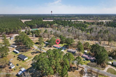 Tiny photo for 171 Big Four Road, Currie, NC 28435 (MLS # 100562069)