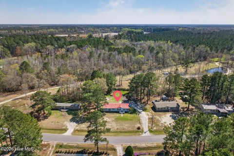 Tiny photo for 171 Big Four Road, Currie, NC 28435 (MLS # 100562069)