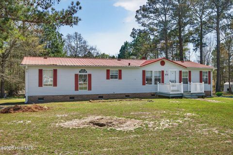 Tiny photo for 171 Big Four Road, Currie, NC 28435 (MLS # 100562069)