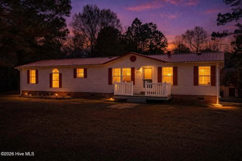 Photo of 171 Big Four Road, Currie, NC 28435 (MLS # 100562069)
