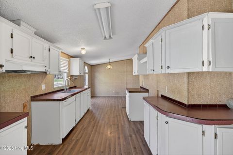 Tiny photo for 171 Big Four Road, Currie, NC 28435 (MLS # 100562069)