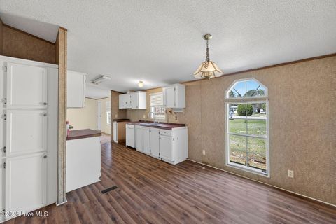 Tiny photo for 171 Big Four Road, Currie, NC 28435 (MLS # 100562069)