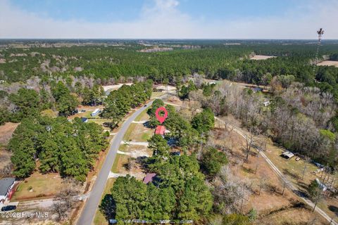 Tiny photo for 171 Big Four Road, Currie, NC 28435 (MLS # 100562069)