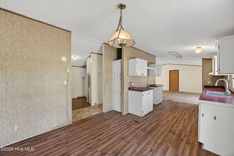 Tiny photo for 171 Big Four Road, Currie, NC 28435 (MLS # 100562069)