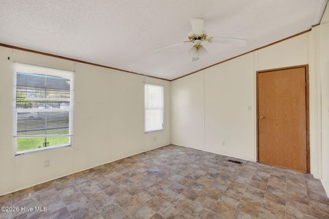Tiny photo for 171 Big Four Road, Currie, NC 28435 (MLS # 100562069)