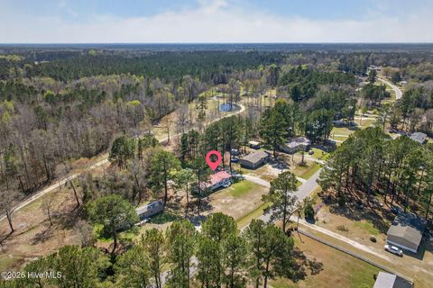 Tiny photo for 171 Big Four Road, Currie, NC 28435 (MLS # 100562069)