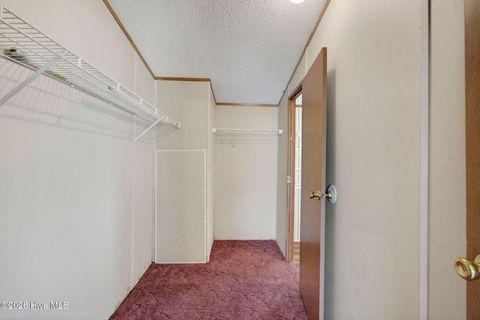 Tiny photo for 171 Big Four Road, Currie, NC 28435 (MLS # 100562069)