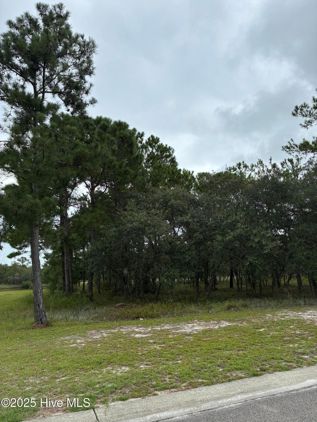 Photo of 544 Bendigo Passage Court SE, Bolivia, NC 28422 (MLS # 100524614)