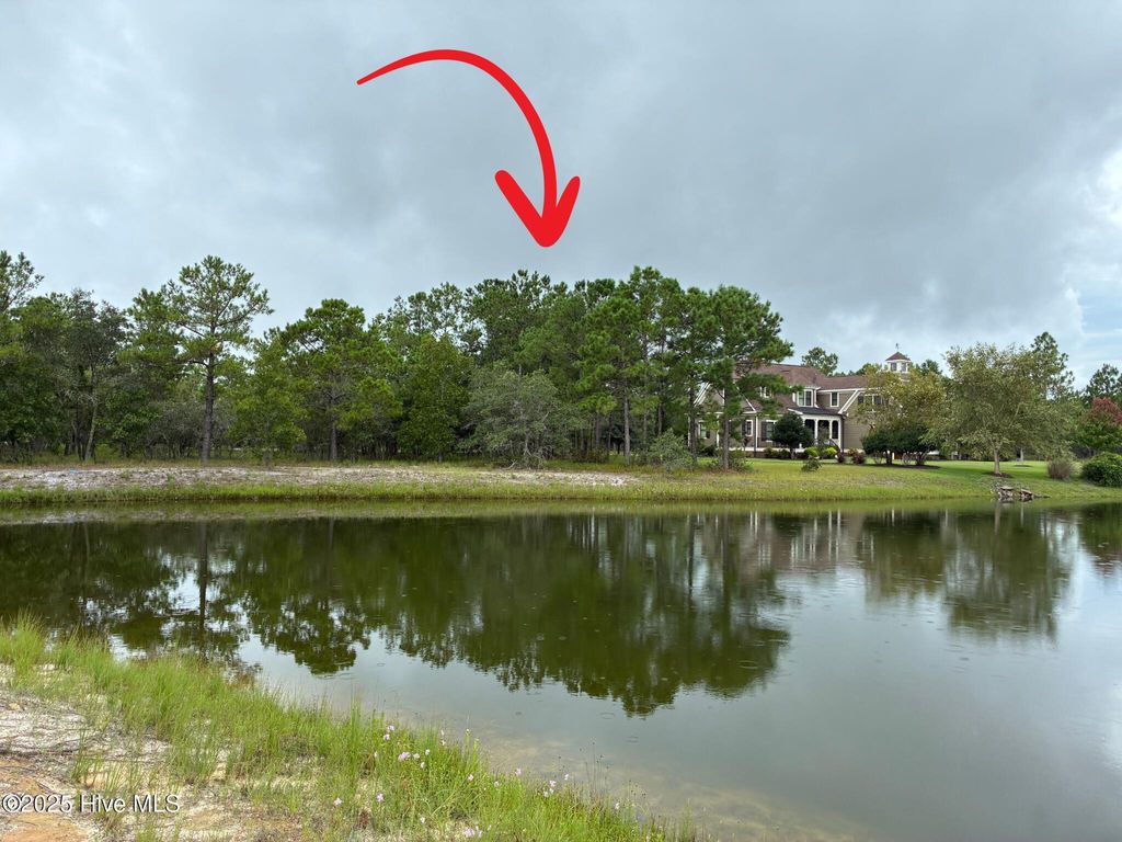 Photo of 544 Bendigo Passage Court SE, Bolivia, NC 28422 (MLS # 100524614)