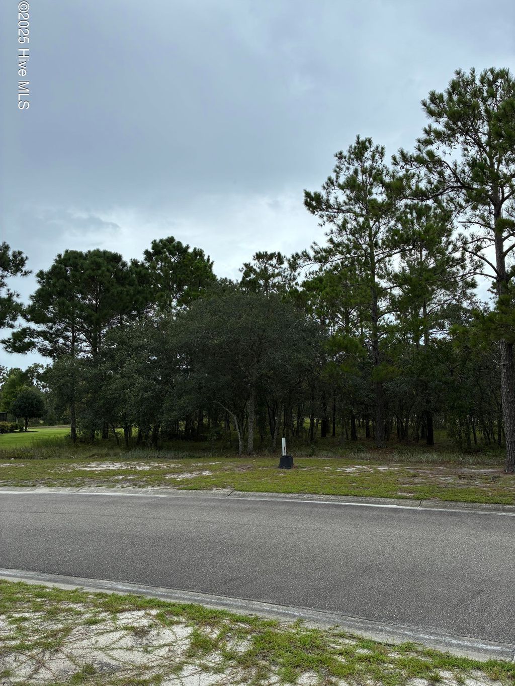 Photo of 544 Bendigo Passage Court SE, Bolivia, NC 28422 (MLS # 100524614)