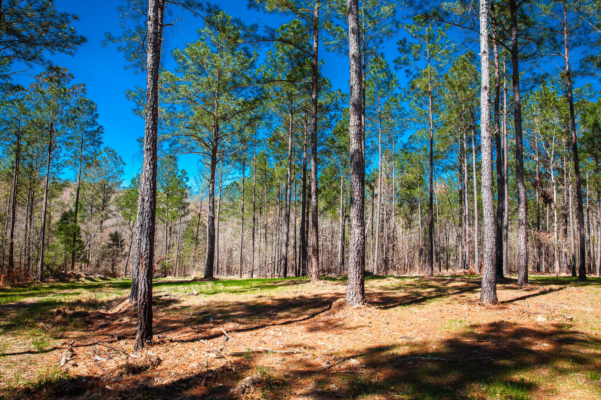 00 Mt. Zion Church Road