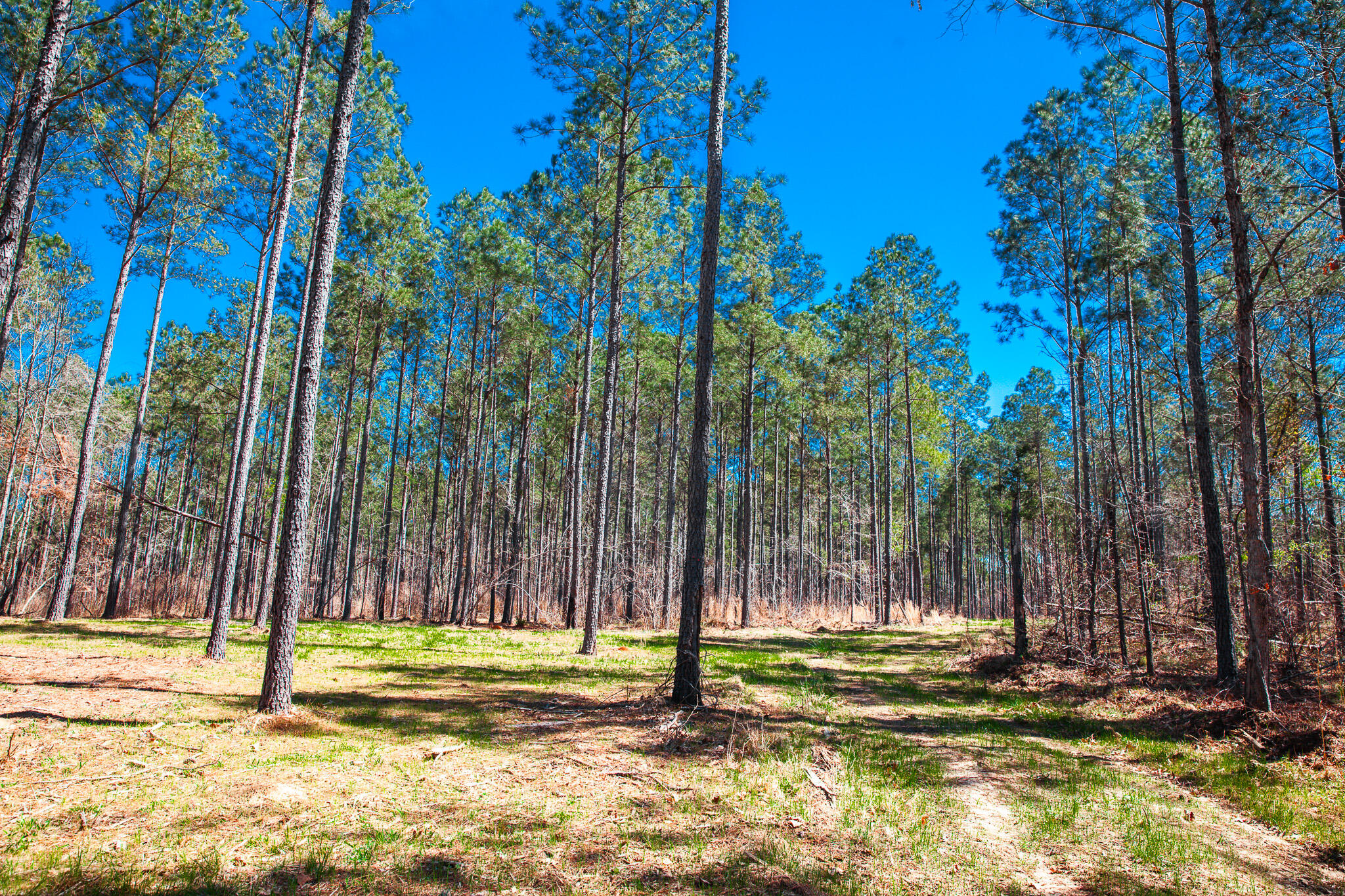 00 Mt. Zion Church Road