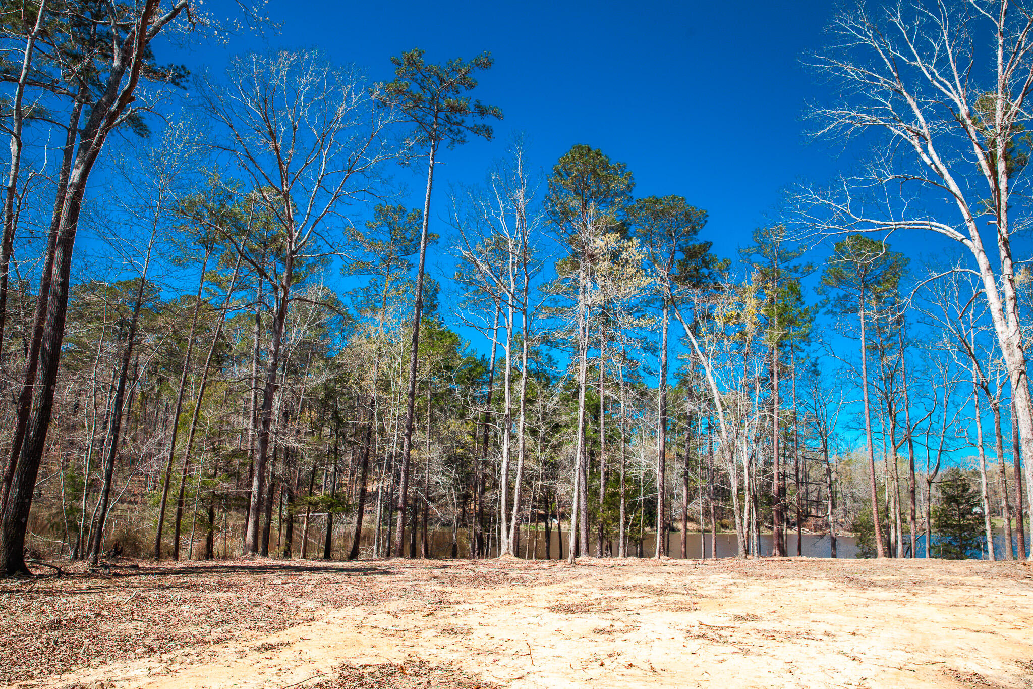 00 Mt. Zion Church Road