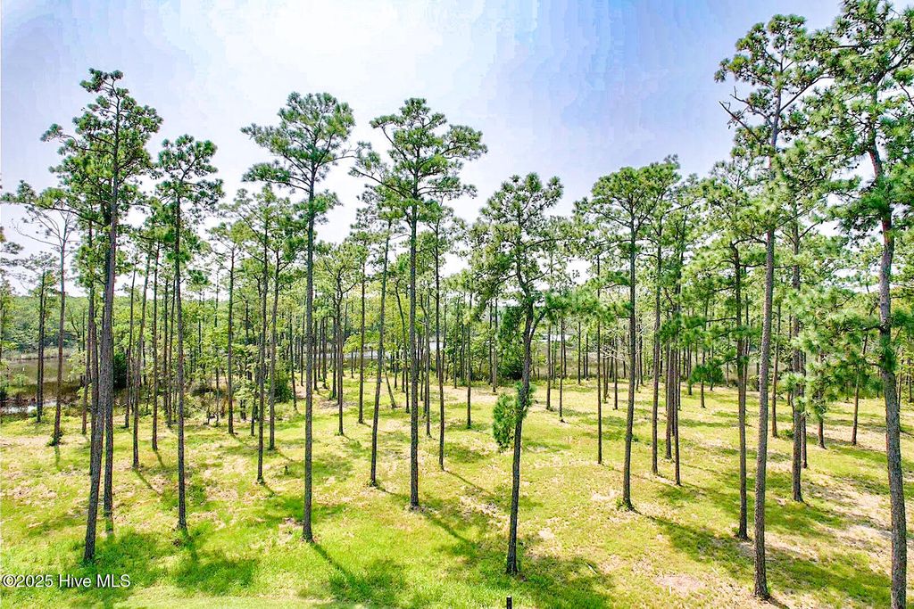 Photo of 206 River Watch Road, Oriental, NC 28571 (MLS # 100544834)