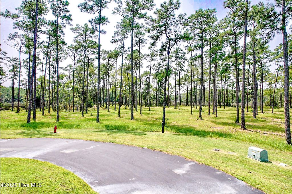 Photo of 206 River Watch Road, Oriental, NC 28571 (MLS # 100544834)