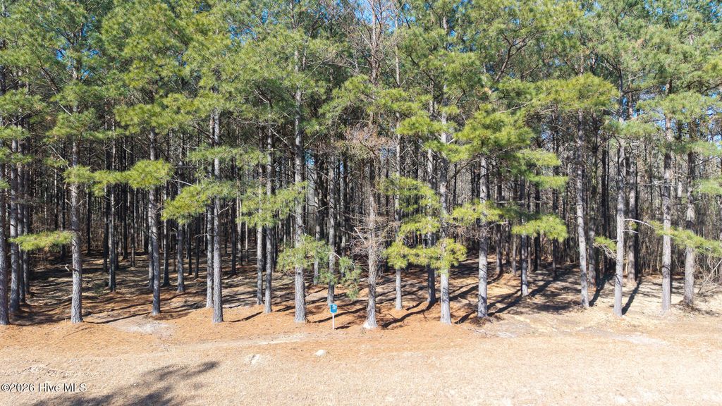 Photo of 285 Riversound Drive, Edenton, NC 27932 (MLS # 100557737)