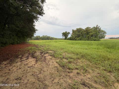 Tiny photo for 9 Point Caswell Road, Willard, NC 28478 (MLS # 100597335)