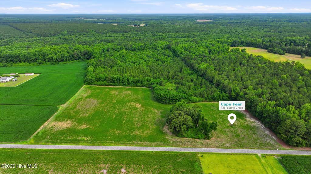 Photo of 9 Point Caswell Road, Willard, NC 28478 (MLS # 100597335)