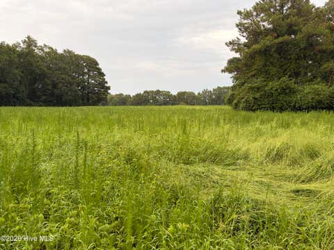 Tiny photo for 9 Point Caswell Road, Willard, NC 28478 (MLS # 100597335)