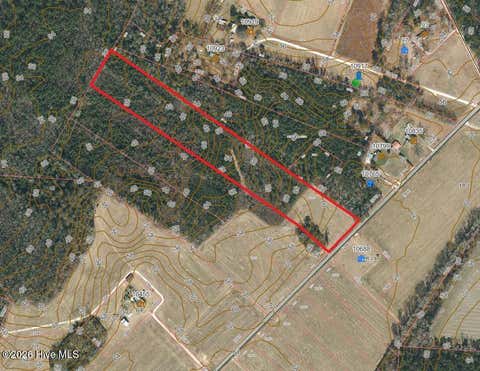 Tiny photo for 9 Point Caswell Road, Willard, NC 28478 (MLS # 100597335)