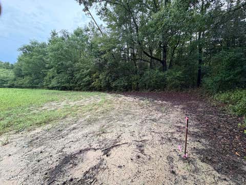 Tiny photo for 9 Point Caswell Road, Willard, NC 28478 (MLS # 100597335)