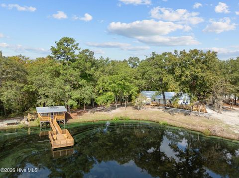 Tiny photo for 360 Fontanel Lake Drive, Burgaw, NC 28425 (MLS # 100561403)