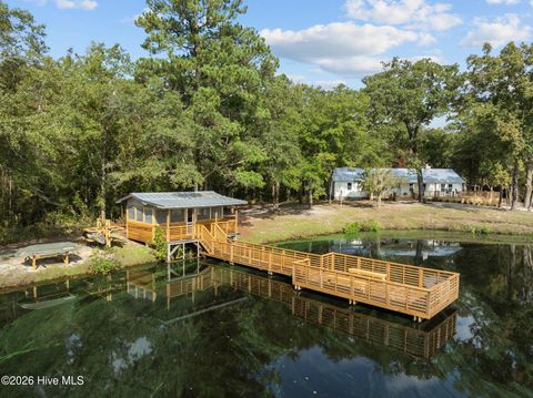 Tiny photo for 360 Fontanel Lake Drive, Burgaw, NC 28425 (MLS # 100561403)