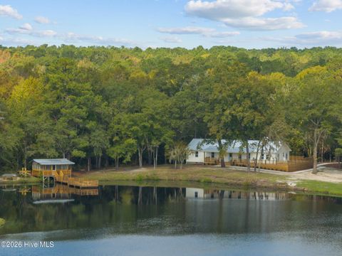 Tiny photo for 360 Fontanel Lake Drive, Burgaw, NC 28425 (MLS # 100561403)