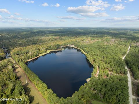 Tiny photo for 360 Fontanel Lake Drive, Burgaw, NC 28425 (MLS # 100561403)