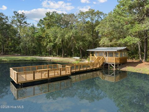 Tiny photo for 360 Fontanel Lake Drive, Burgaw, NC 28425 (MLS # 100561403)