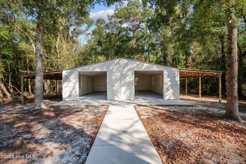 Tiny photo for 360 Fontanel Lake Drive, Burgaw, NC 28425 (MLS # 100561403)