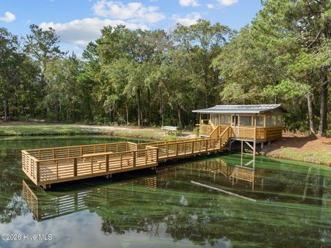 Tiny photo for 360 Fontanel Lake Drive, Burgaw, NC 28425 (MLS # 100561403)