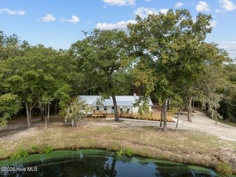 Tiny photo for 360 Fontanel Lake Drive, Burgaw, NC 28425 (MLS # 100561403)