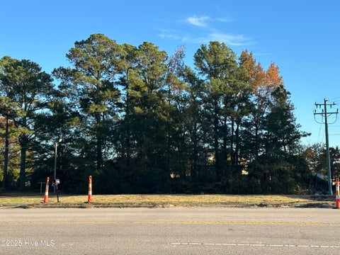 Vacant Land For Sale - 1402 N Berkeley Boulevard<br/> Wayne County, Goldsboro, NC 27534