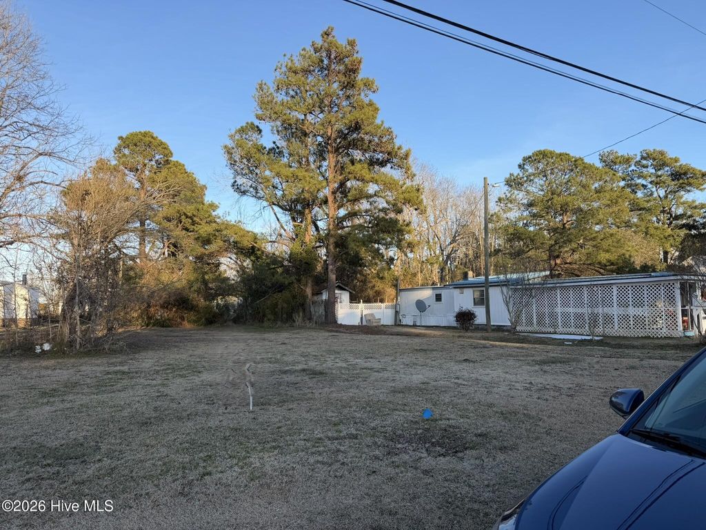 Photo of 372 W Pantego Street, Belhaven, NC 27810 (MLS # 100553664)