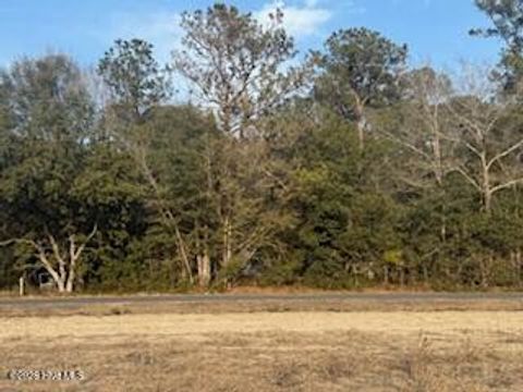 Vacant Land For Sale - TBD Tbd Rough Horn Road<br/> Evergreen, NC 28438