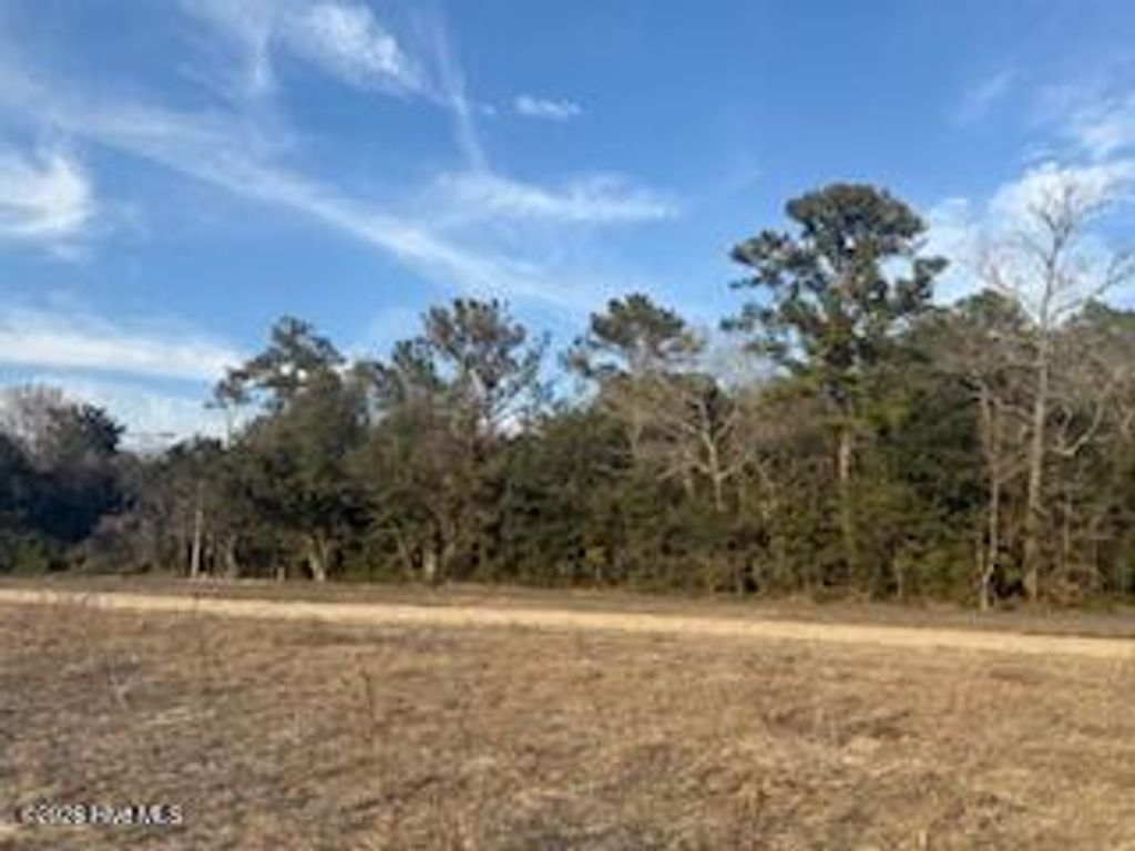 Photo of Tbd Near 120 Rough Horn Road, Evergreen, NC 28438 (MLS # 100555436)