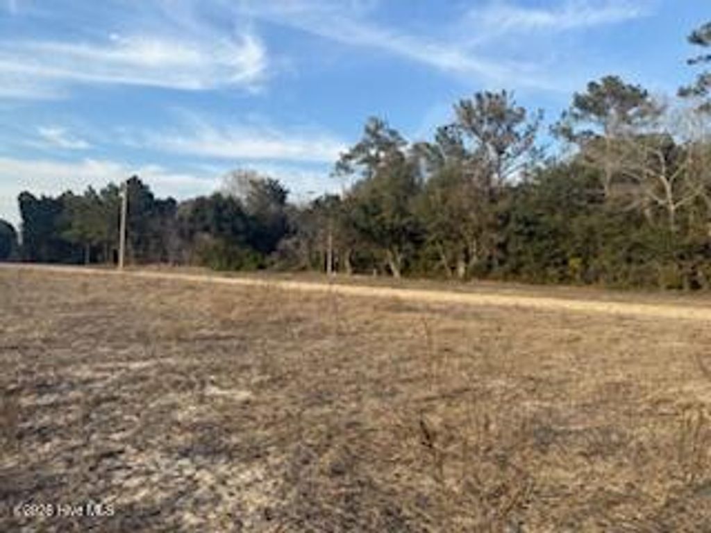 Photo of Tbd Near 120 Rough Horn Road, Evergreen, NC 28438 (MLS # 100555436)