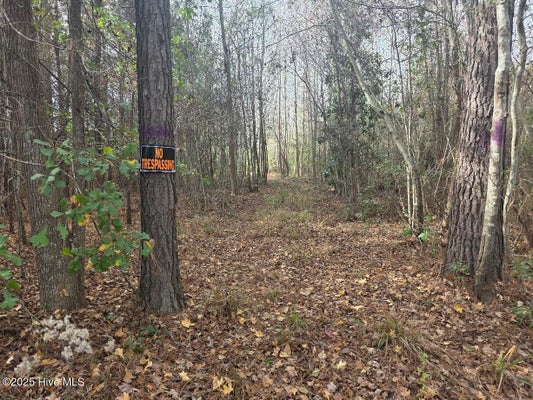 9093 JOE BROWN HWY N, BLADENBORO, NC 28320 - Image 360ad5d5c07f6e02fb25649db45a1ff3/53683084