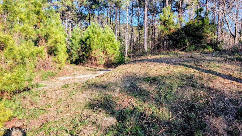 Photo of 314 Livingston Court, Holly Ridge, NC 28445 (MLS # 100588584)