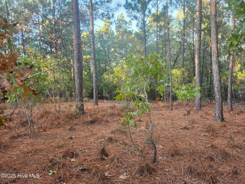 Vacant Land For Sale - 4 Brassie Circle<br/> Jackson Springs, NC 27281
