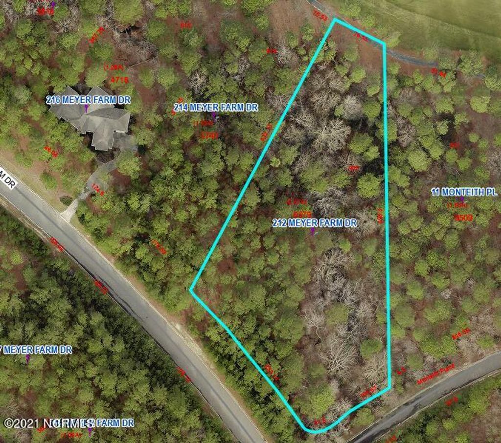 Photo of 212 Meyer Farm Drive, Pinehurst, NC 28374 (MLS # 100546858)