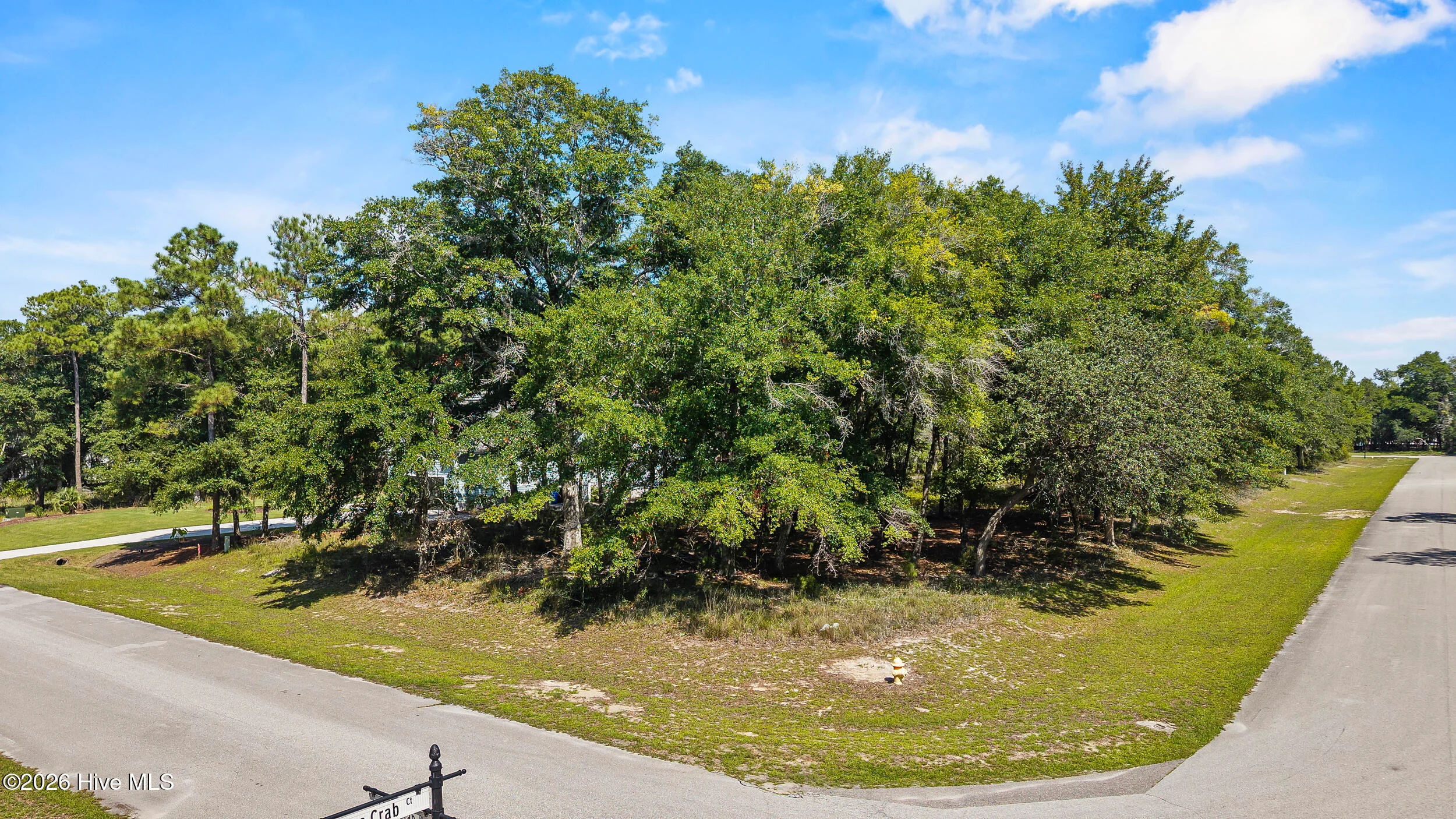 3362 Stone Crab Court SW, Supply, NC, 28462