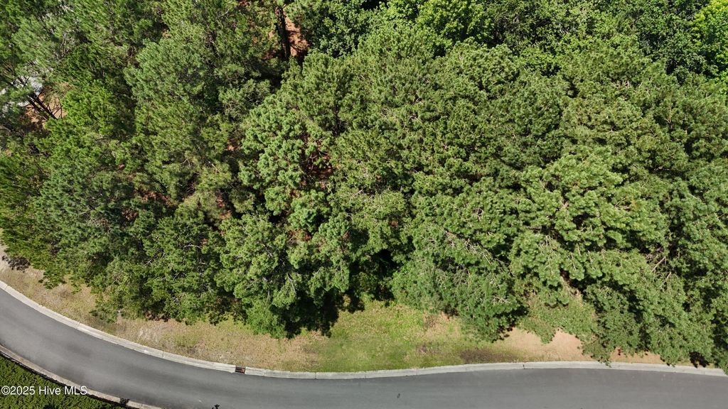 Photo of 217 October Glory Drive, Wallace, NC 28466 (MLS # 100514537)