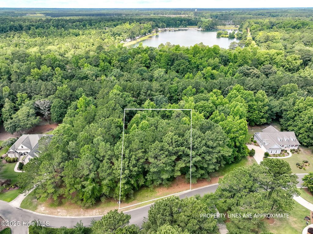 Photo of 217 October Glory Drive, Wallace, NC 28466 (MLS # 100514537)