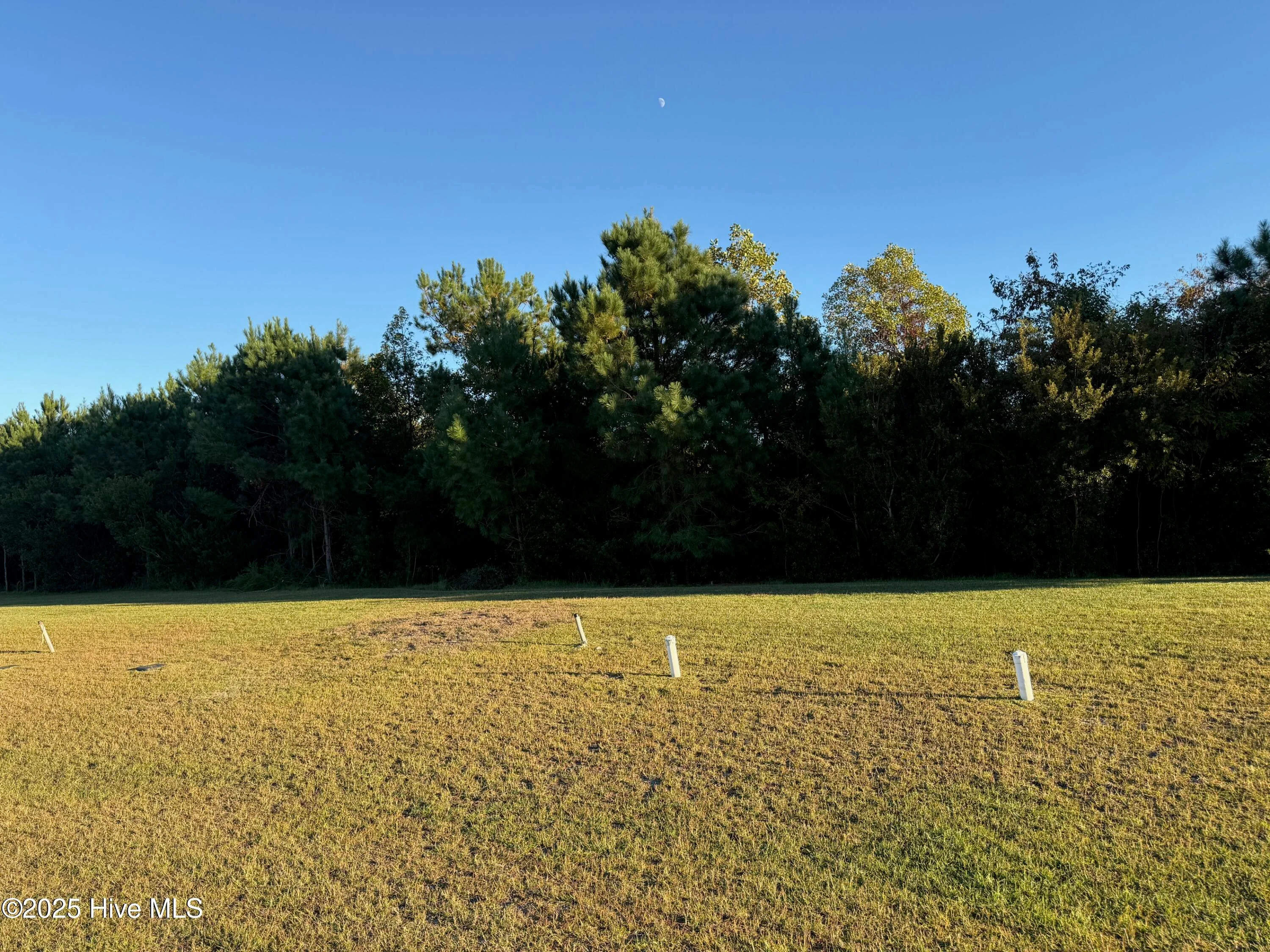 157 Whispering Pine Lane