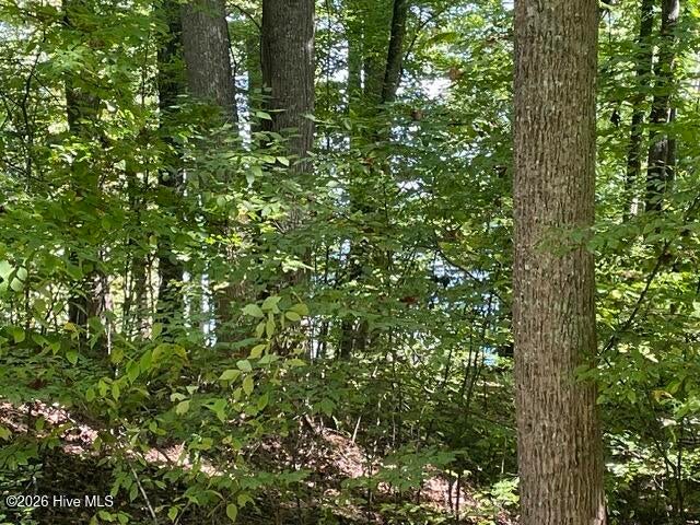 Photo of 00 Rocky Branch Overlook, Topton, NC 28781 (MLS # 100611375)