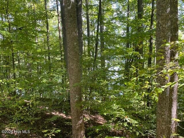 Photo of 00 Rocky Branch Overlook, Topton, NC 28781 (MLS # 100611375)